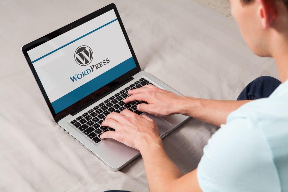 O que é WordPress e 9 características que fazem dele uma ótima opção para desenvolver sites