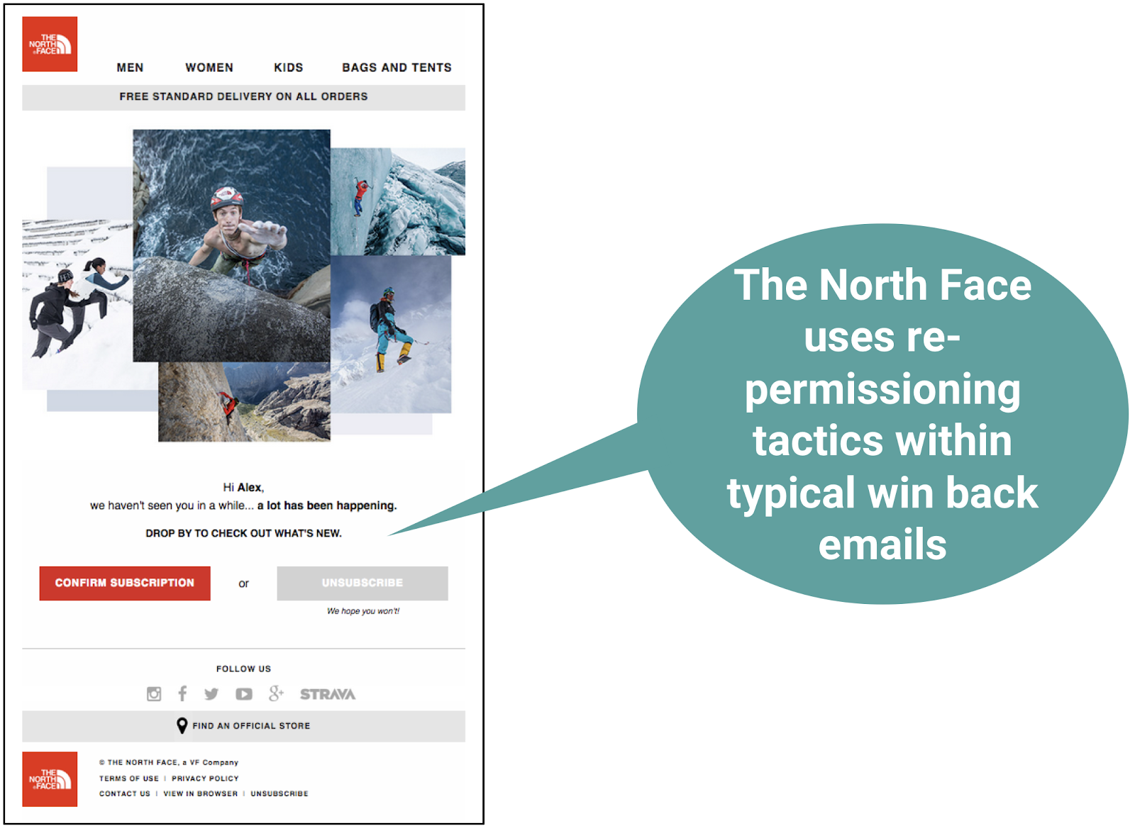 the north face email