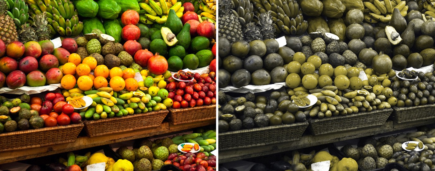 Descrição da imagem: montagem com 2 imagens, ao lado esquerdo, várias frutas coloridas, ao lado direito, as mesmas frutas em tons cores neutras e com pouco contraste. Criação de Juliana Fernandes.