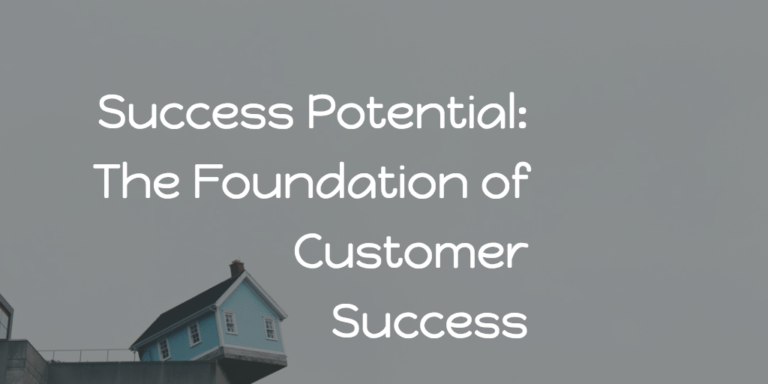 potencial-de-sucesso-customer-success-2