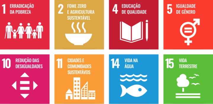 Objetivos de desenvolvimento sustentável da política de ESG: erradicação da pobreza, 
fome zero e agricultura sustentável, 
educação de qualidade, igualdade de gênero, redução das desigualdades, cidades e comunidades sustentáveis, vida na água e vida terrestre.